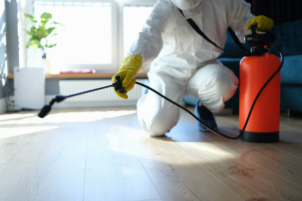 Reliable Odor Removal contractor in Pine Bluffs, WY by Crime Scene Cleaner Online